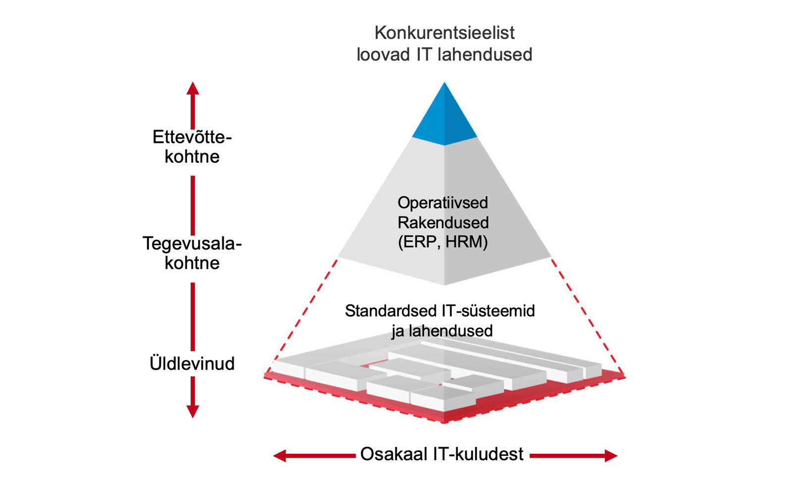 Ettevõtte-IT-lahendused-ja-nende-osakaal-IT-kuludest