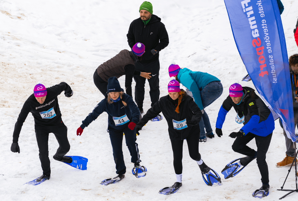 Illustratsioon Lumelestajooks